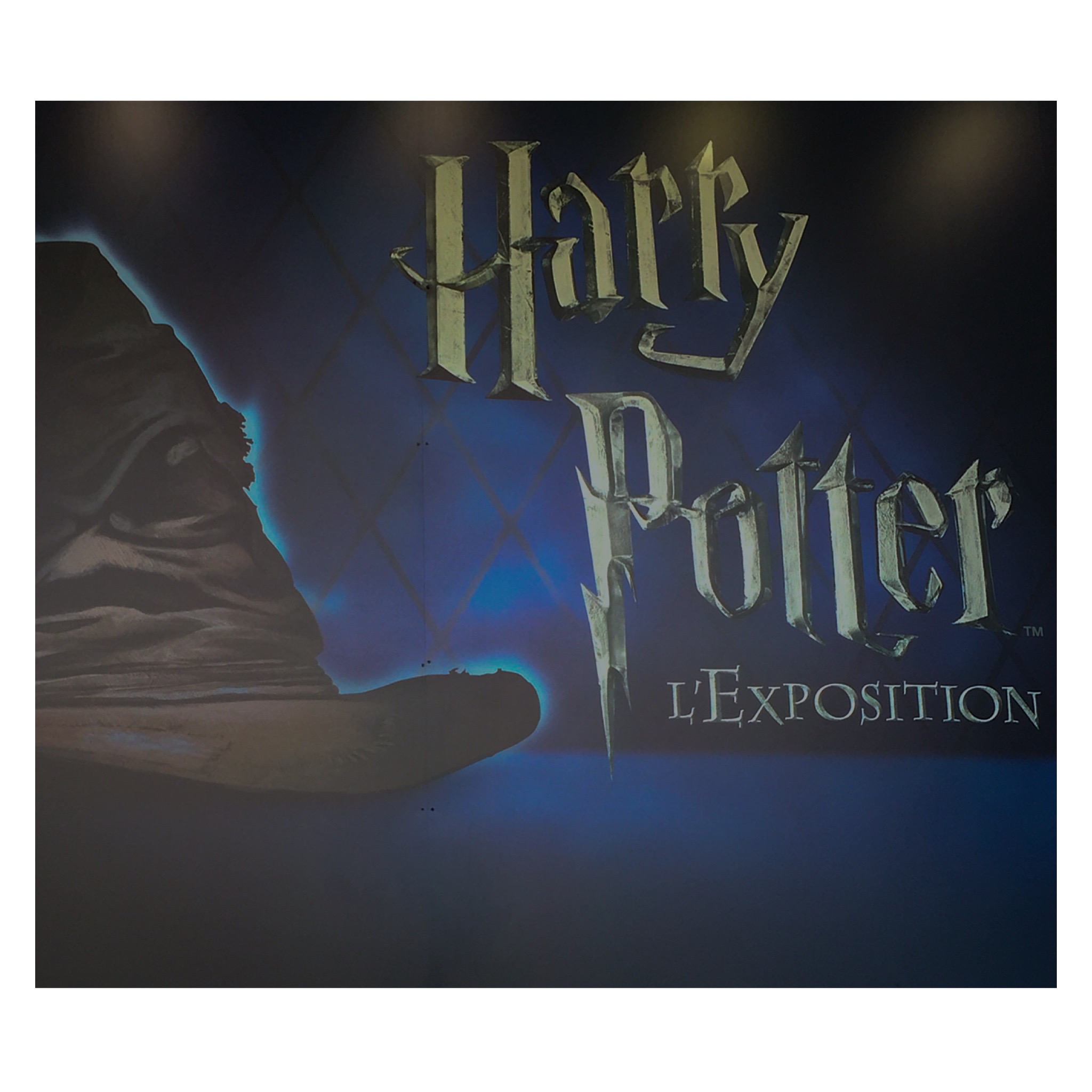 Harry potter – l’exposition