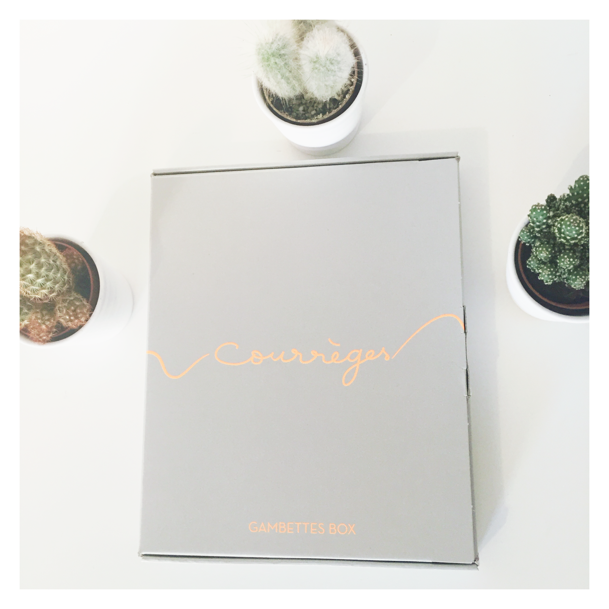 Gambettes octobre – présentation
