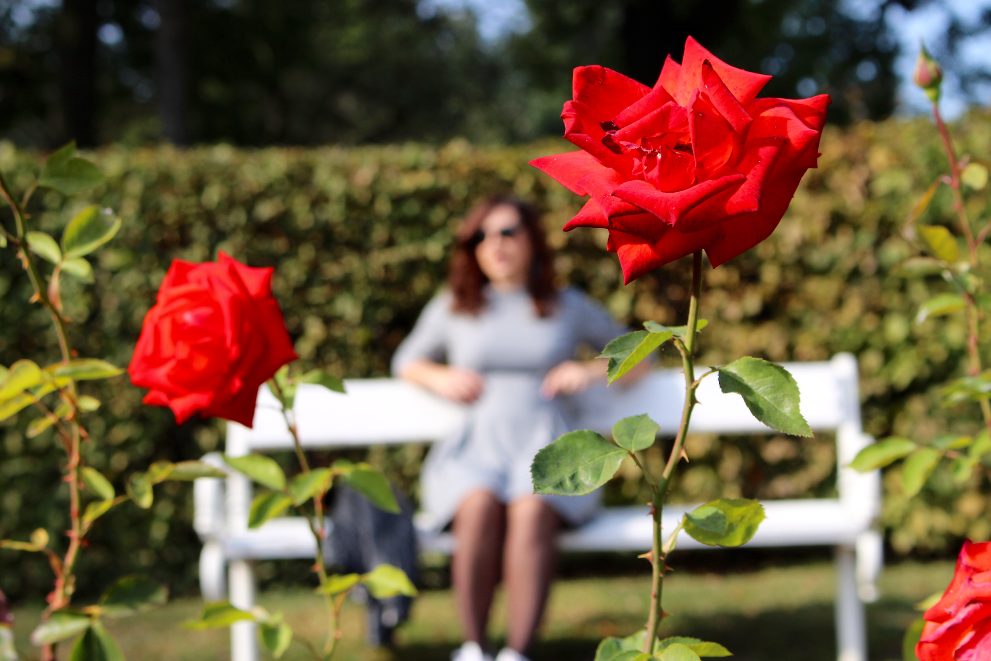 pois Mademoiselle E – fleurs 7