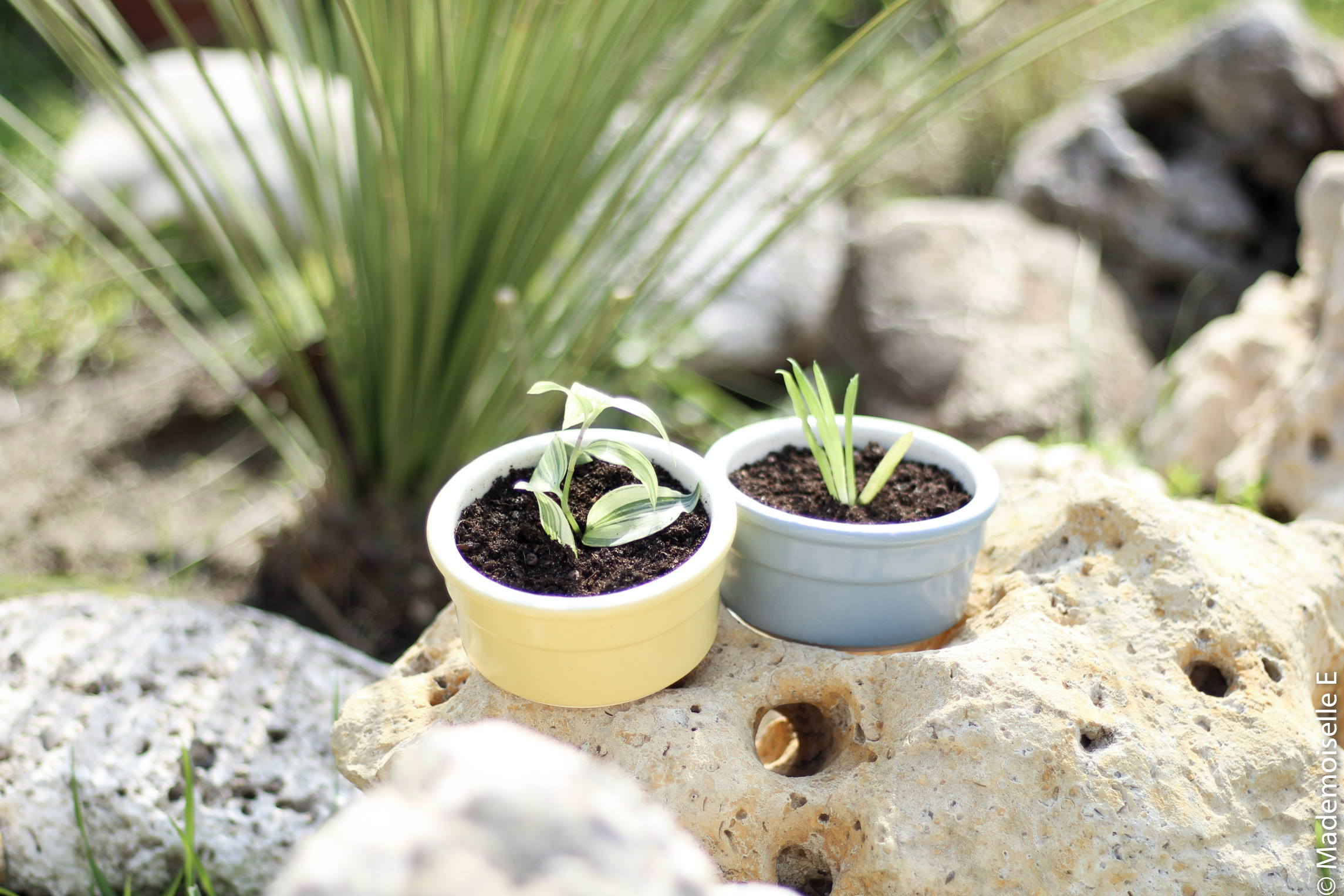 pots pastels pots & co 1 mademoiselle e