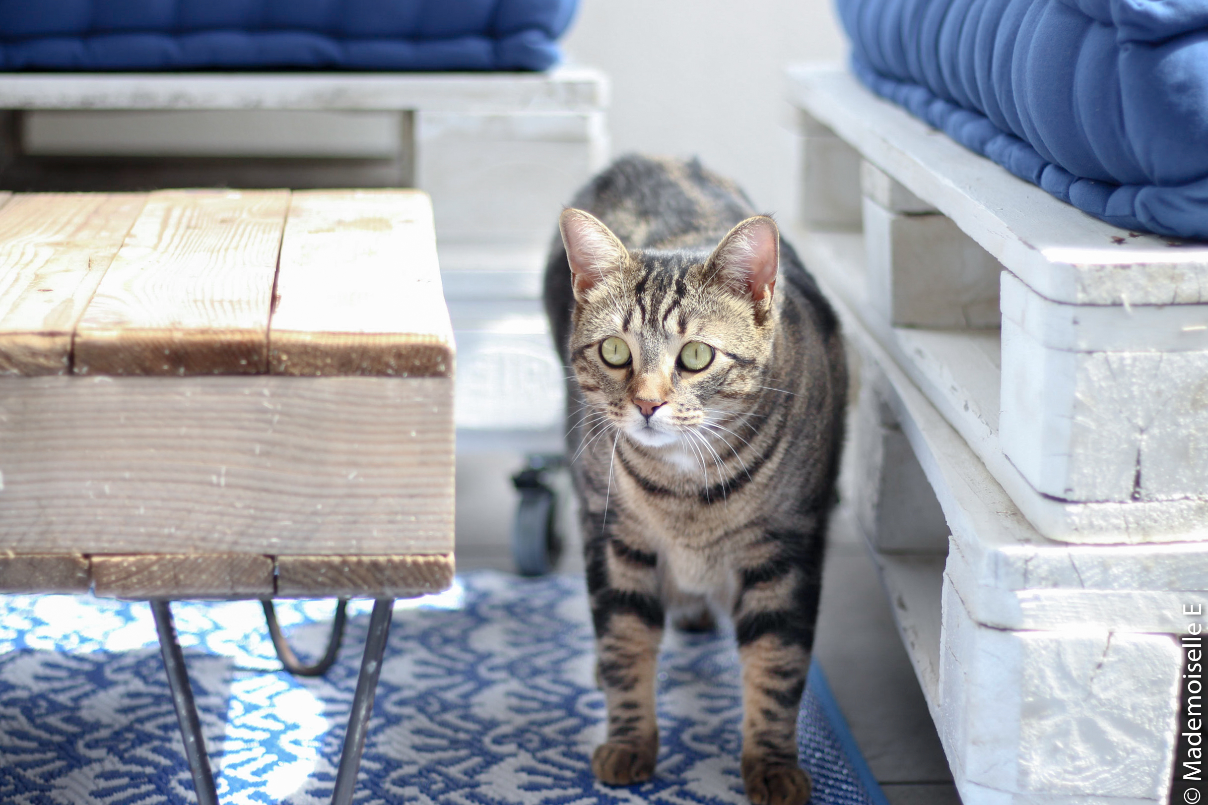 je décore ma terrasse pour l’été bord de mer 10 mademoiselle-e