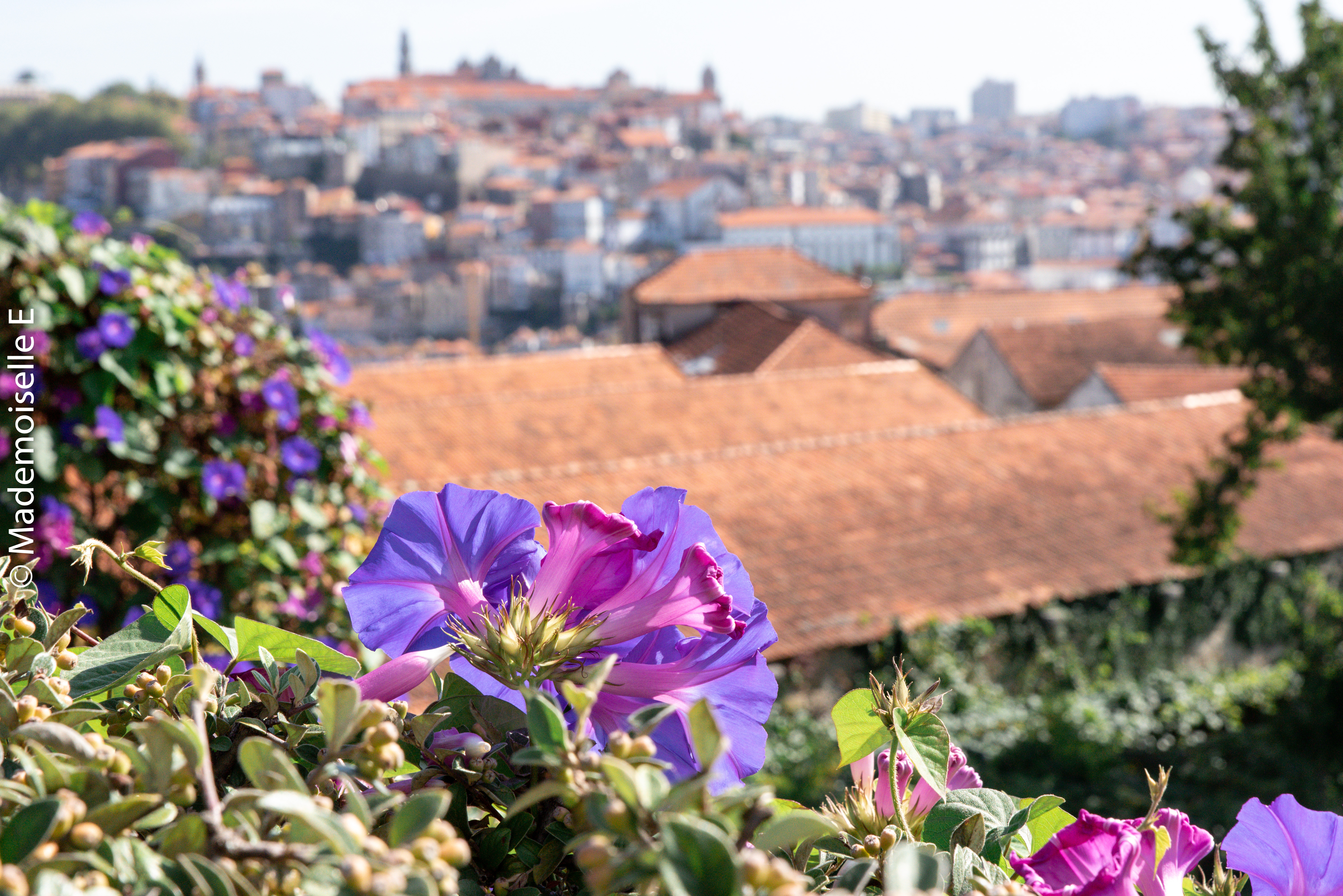 city_guide_porto_vue_3_mademoiselle-e